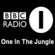 BBC Radio One in the Jungle – 1996